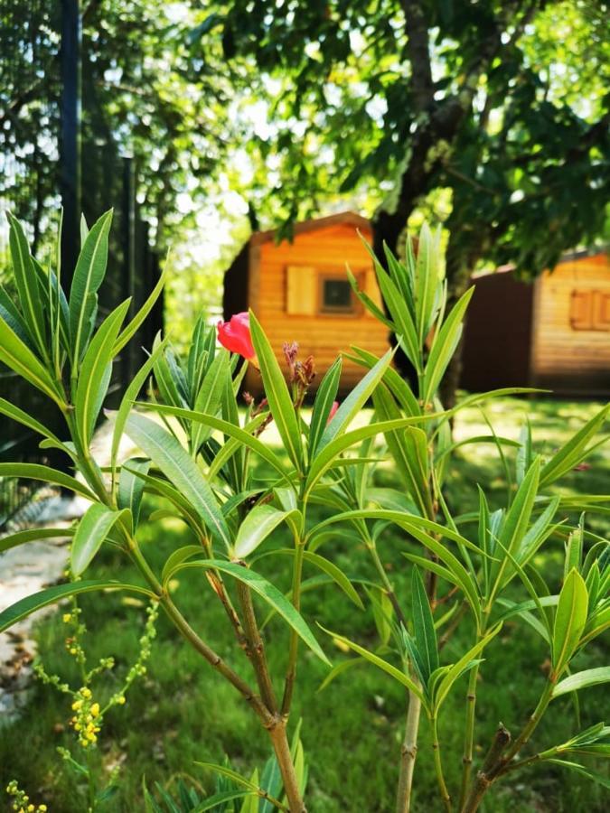 Krasen Kras 104 Resort Komen Εξωτερικό φωτογραφία